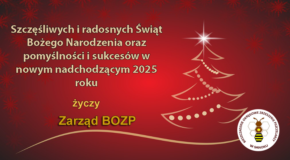 Boże Narodzenie 2024